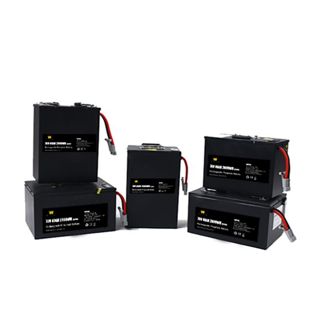 Het zwarte Lithium Ion Motorcycle Battery With Bms van Lifepo4 72V40Ah 1