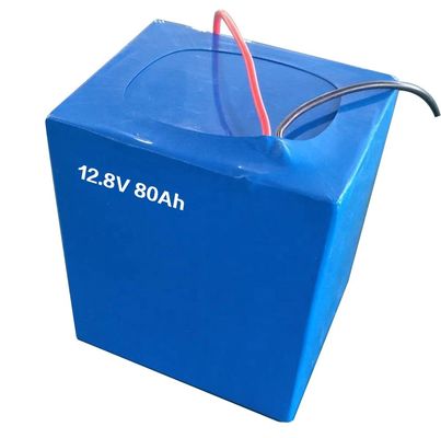 SGS 36V 48V 60V 72V 20Ah de Auto van Ion Battery Packs For Electric van het Douanelithium