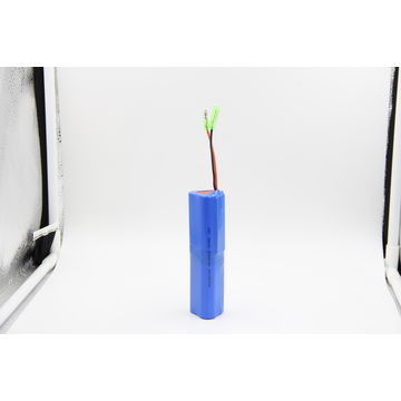 0.2C 18650 de Douanelithium Ion Battery Packs van 2400mAh 21.6V voor Massagekanon